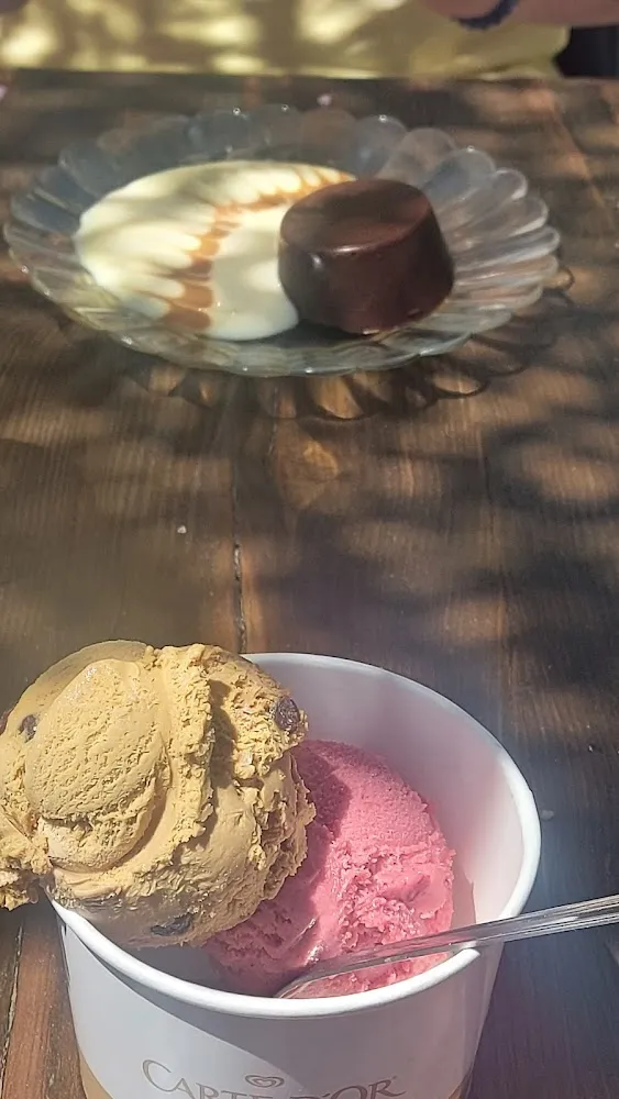 Glace & Turienoix Chocolat Et Crème Anglaise Caramel